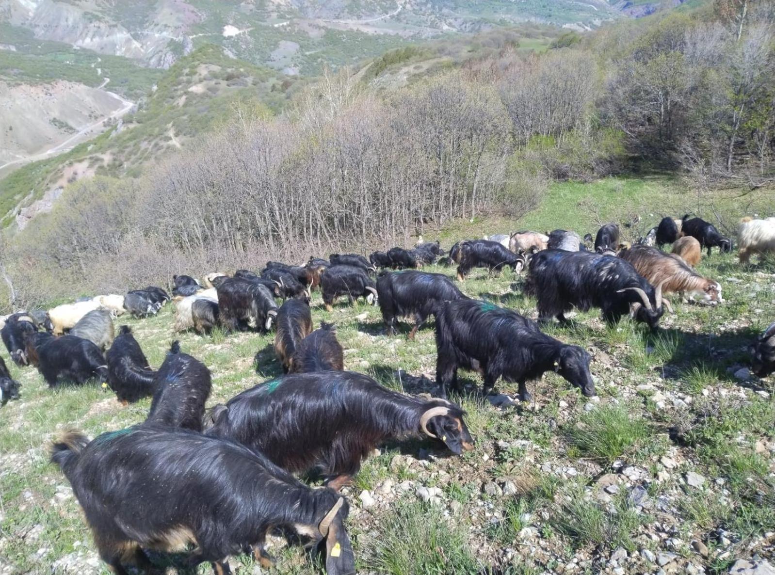 Askireg Hotel Tunceli Exteriér fotografie