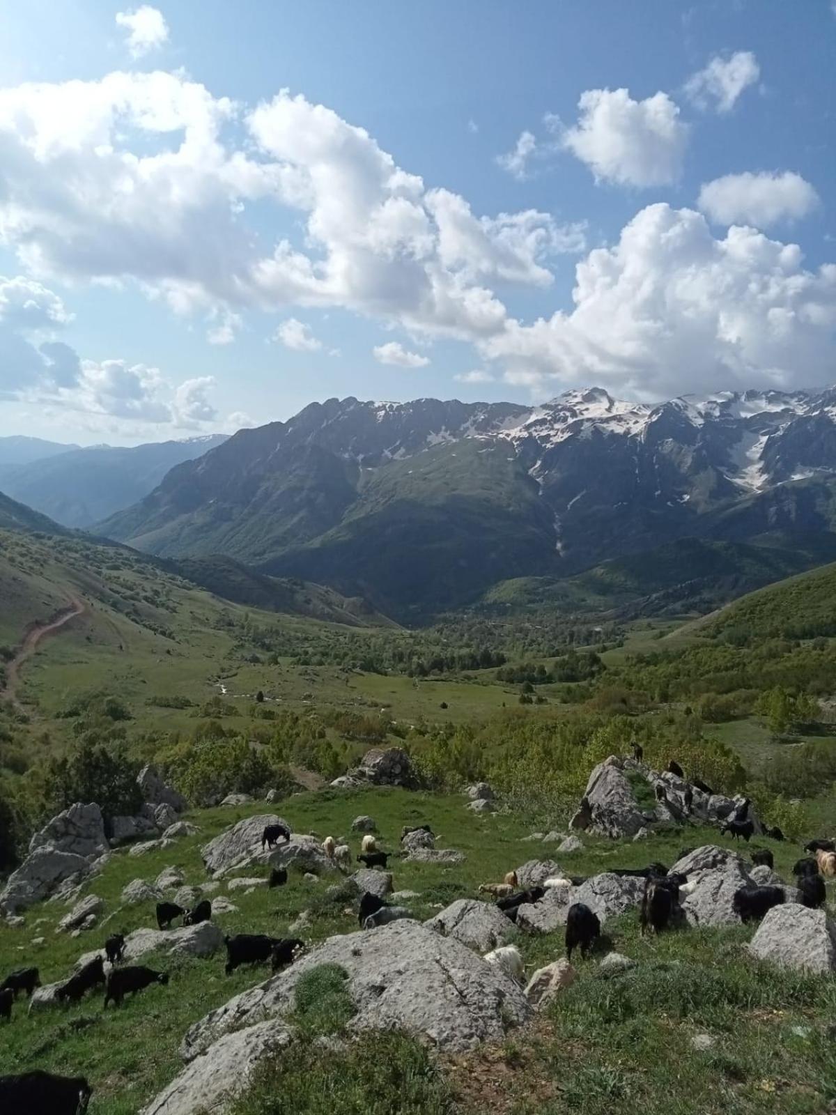 Askireg Hotel Tunceli Exteriér fotografie